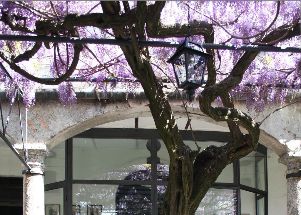 Antico Glicine B&B 마슬리아니코 외부 사진